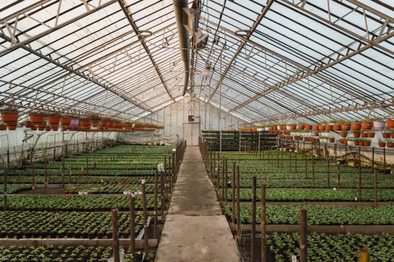 螺纹钢水泥供应质量管控要点及工程项目风险规避指南